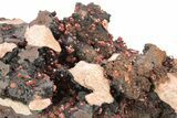 Small, Red Vanadinite Crystals on Manganese Oxide - Morocco #212020-2